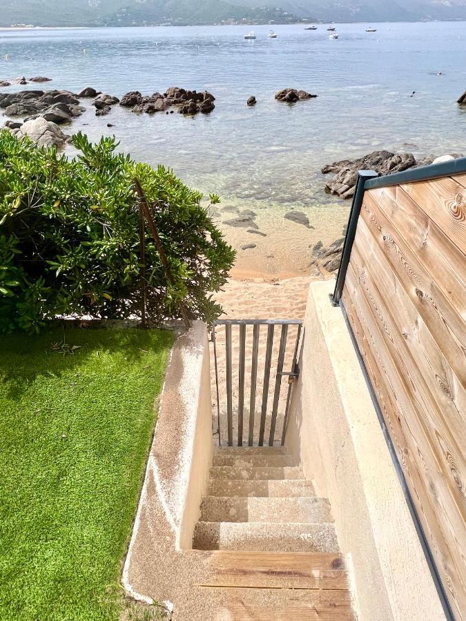 Appartement 2-4 Pers, Acces Direct Mer Casaglione Eksteriør billede